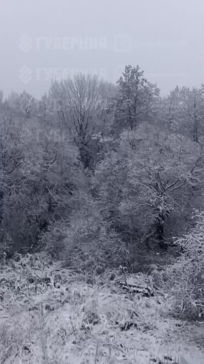 Первый снег во Владимире. Синоптики обещают - сегодня снег с дождем до обеда