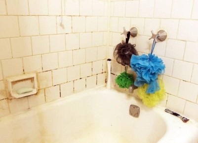 Как старую ванну превратить в стильный пруд для дачи