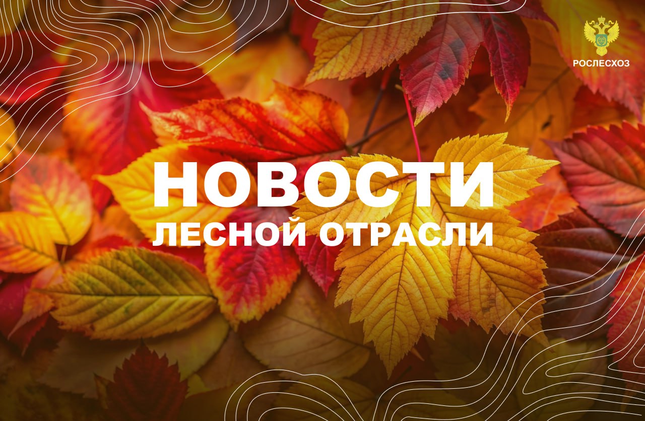 Телеканал 360°: Более 110 лесных возгораний потушили в Подмосковье за пожароопасный сезон