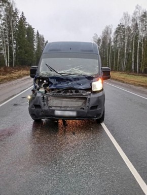 Микроавтобус «Фиат» сбил лося на трассе в Судогодском округе