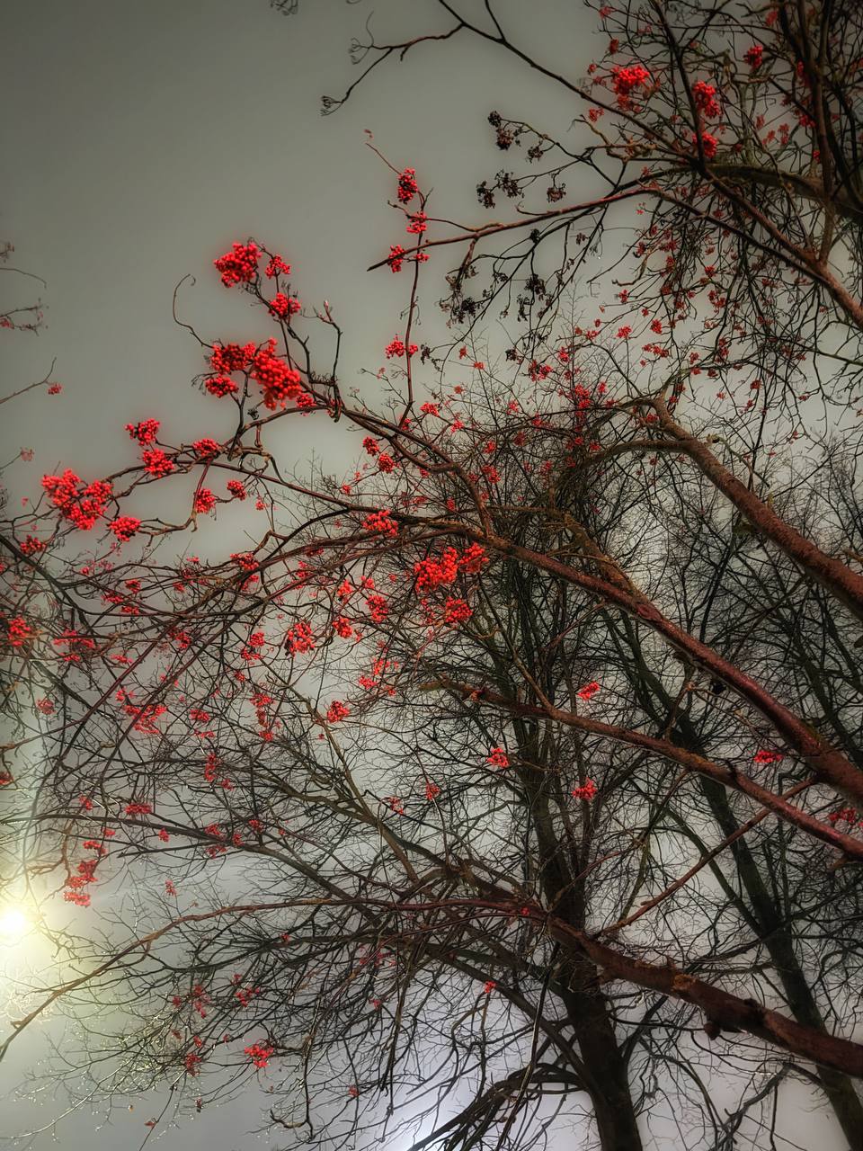 Анна Долгарева: Тем временем, вчера во Владимире было чудесно Анна Долгарева: Тем временем, вчера во Владимире было чудесно