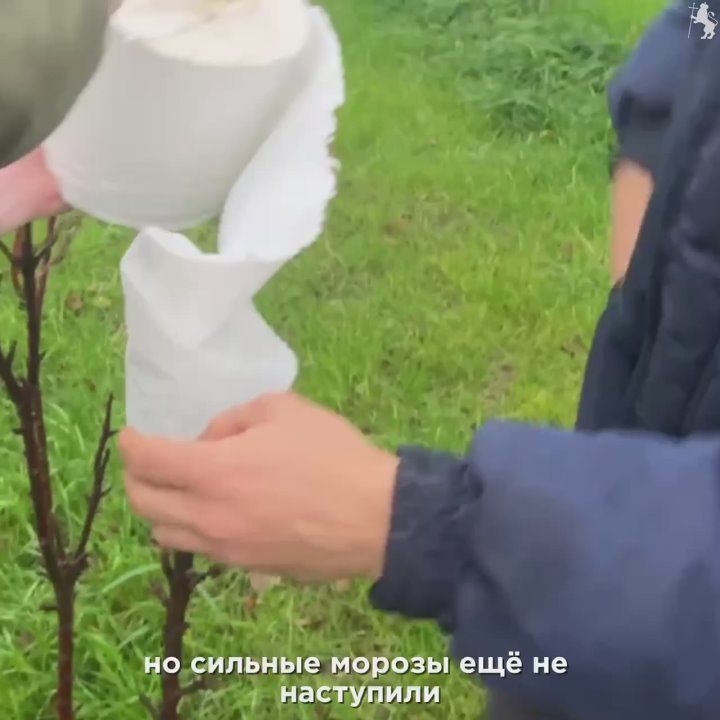 Владимир утепляется к зиме!