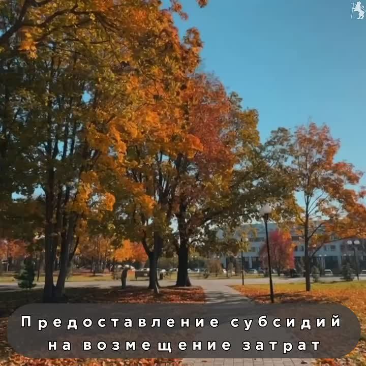 Владимир поддерживает малый и средний бизнес!