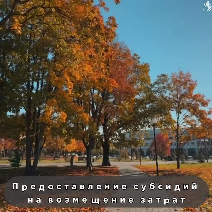 Владимир поддерживает малый и средний бизнес!