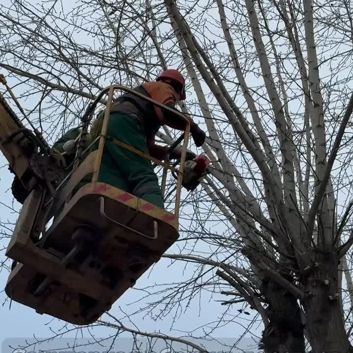 Продолжается работа по содержанию зеленых насаждений!