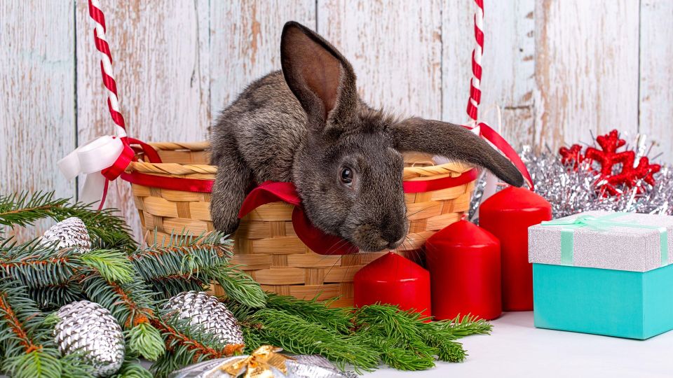 Дешево и неэстетично: популярный подарок попал в новогодний стоп-лист