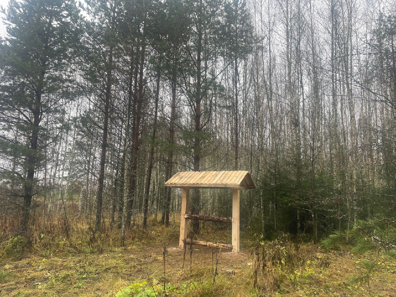 Сотрудники госохотинспекции поставили в четырех районах солонцы для диких животных Сотрудники госохотинспекции поставили в четырех районах солонцы для диких животных