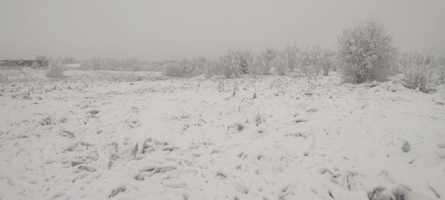 .                      ...