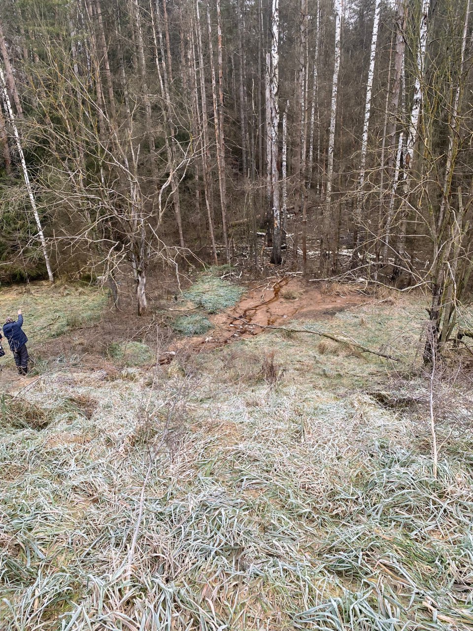 Владимирской природоохранной прокуратурой приняты по факту нарушений при эксплуатации полигона захоронения отходов