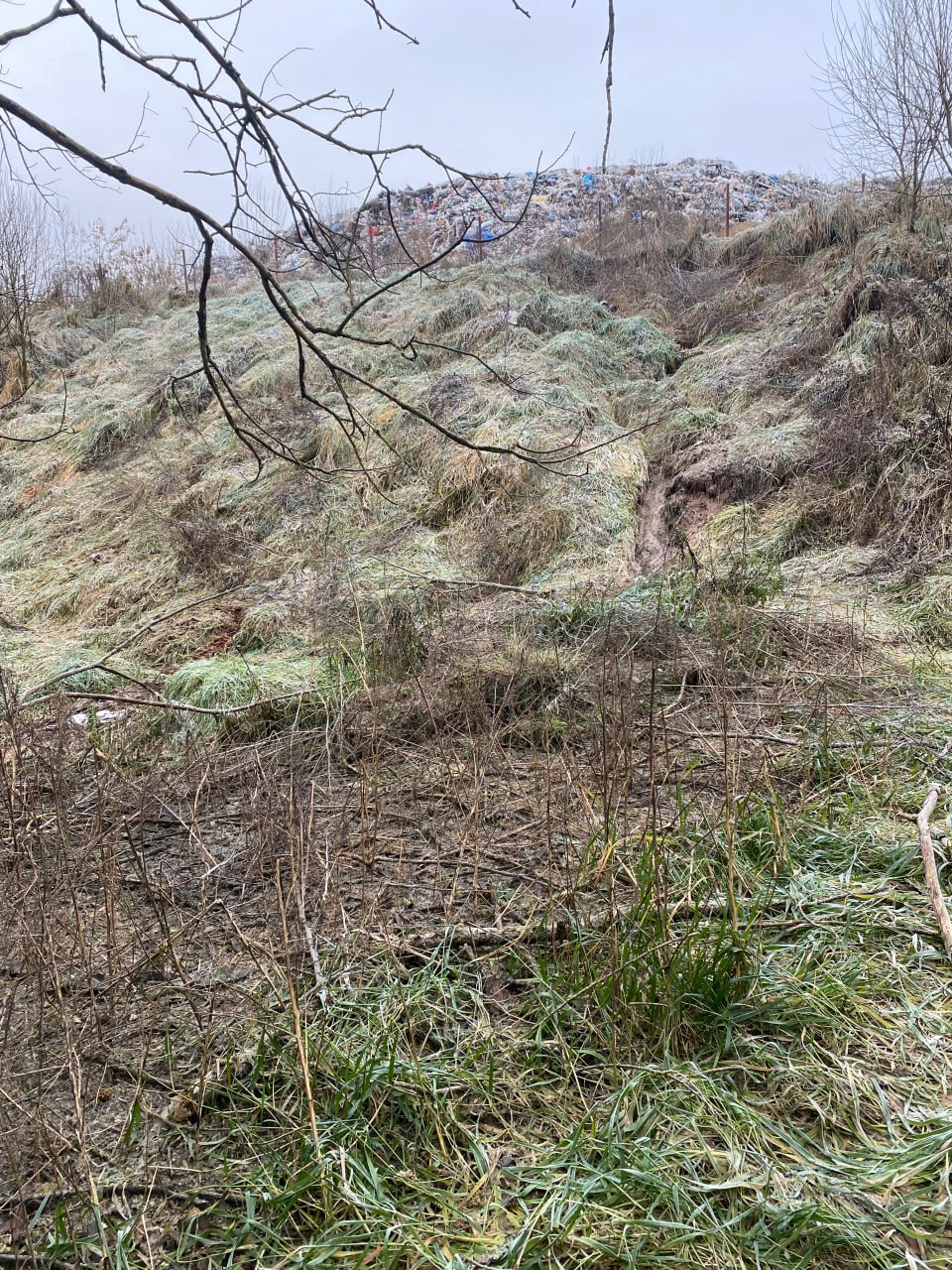 Владимирской природоохранной прокуратурой приняты по факту нарушений при эксплуатации полигона захоронения отходов Владимирской природоохранной прокуратурой приняты по факту нарушений при эксплуатации полигона захоронения отходов