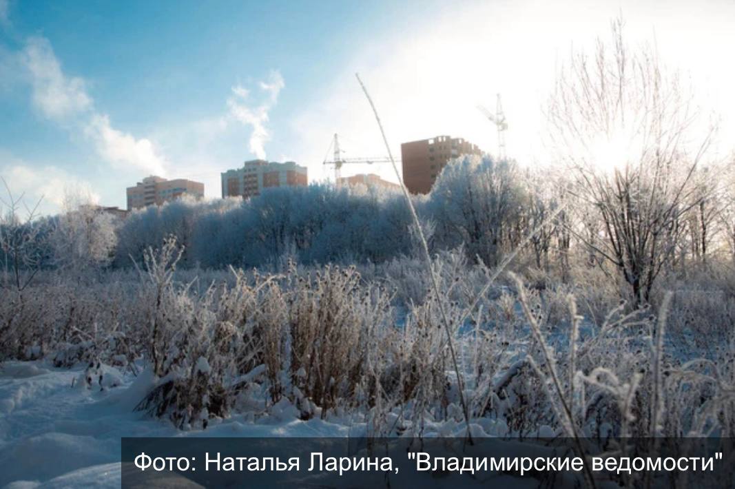 Во Владимире на обсуждение вынесена застройка земель бывшего совхоза «Вышка»