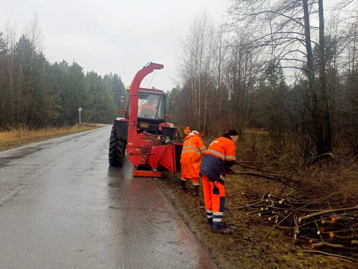 ДСУ-3 расчищает полосы отвода в Камешковском районе ДСУ-3 расчищает полосы отвода в Камешковском районе