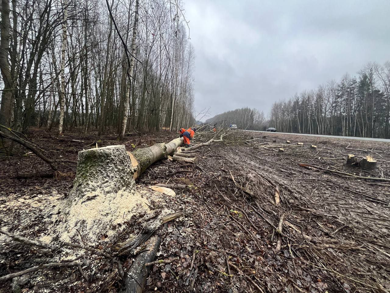 ДСУ-3 расчищает полосы отвода в Камешковском районе ДСУ-3 расчищает полосы отвода в Камешковском районе
