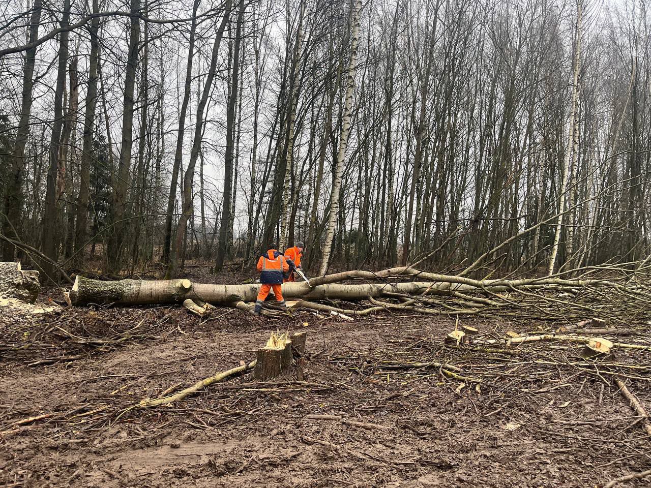 ДСУ-3 расчищает полосы отвода в Камешковском районе