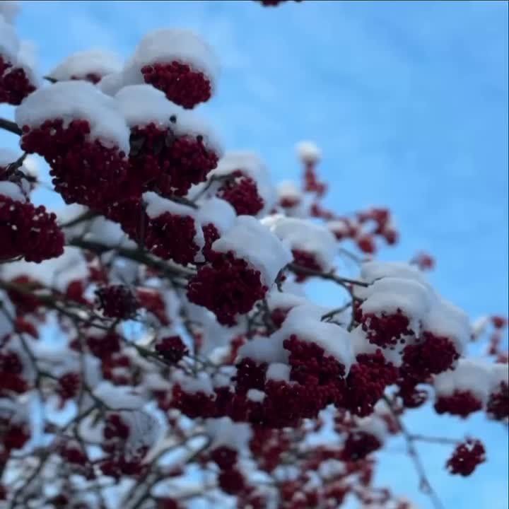 Заряжаемся позитивом и силами перед рабочими буднями и подводим итоги прошедшей недели!
