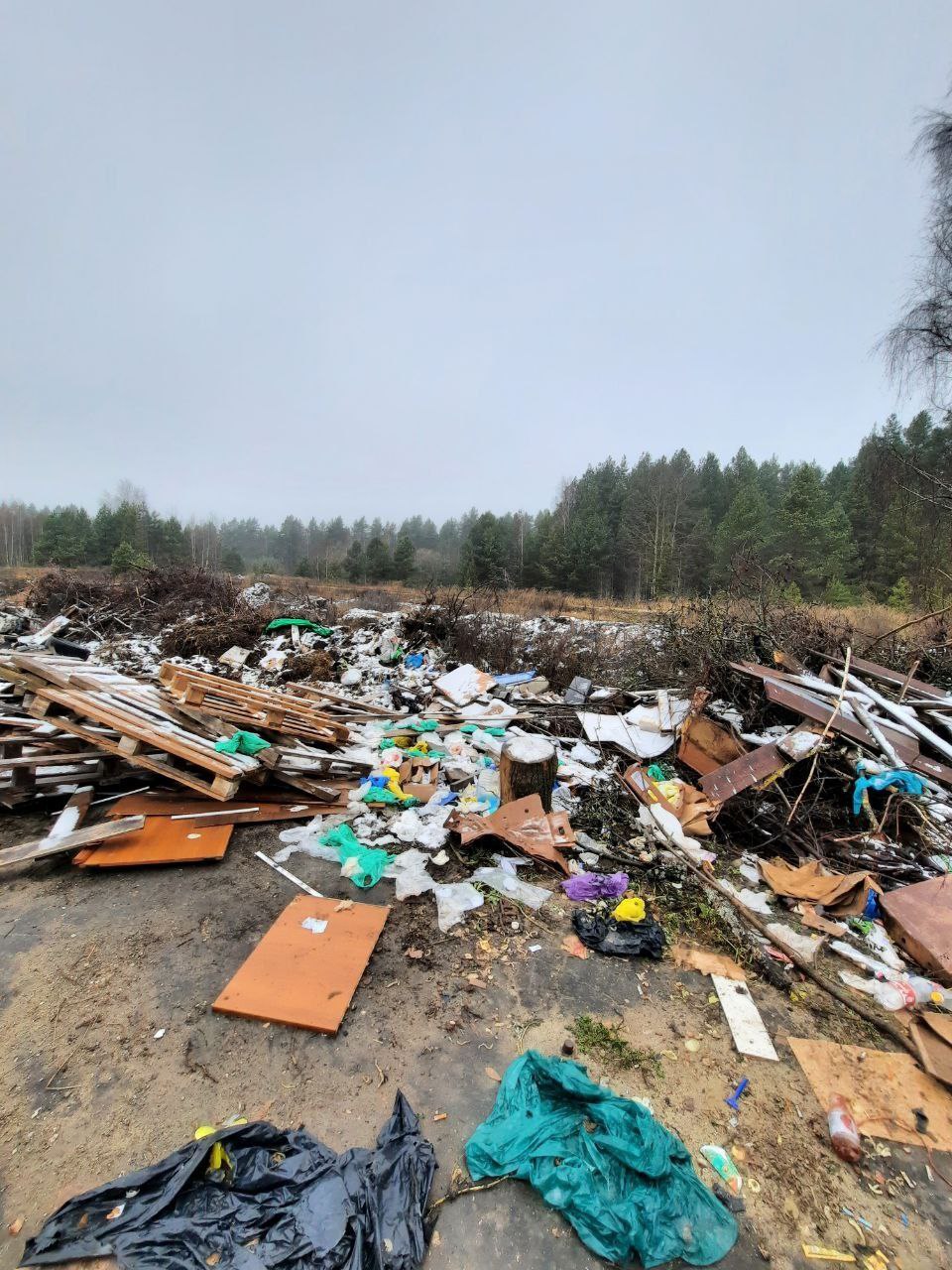 В Гусь-Хрустальном районе после вмешательства прокурора ликвидирована крупная свалка В Гусь-Хрустальном районе после вмешательства прокурора ликвидирована крупная свалка