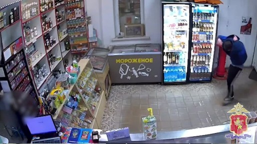 Владимирскими полицейскими оперативно раскрыты разбой и грабёж, совершённые двумя налётчиками