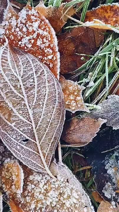 Доброе утро! На этой неделе нас вновь ждут температурные качели, ожидаются и осадки в виде дождя и мокрого снега