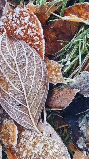 Доброе утро! На этой неделе нас вновь ждут температурные качели, ожидаются и осадки в виде дождя и мокрого снега