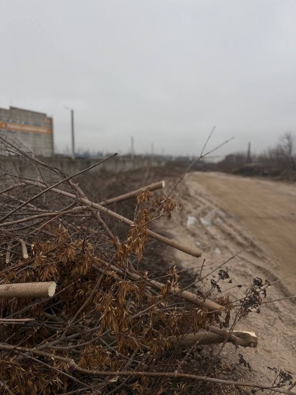 Во Владимире начаты работы по созданию важной городской артерии, которая соединит улицы Гастелло и Куйбышева