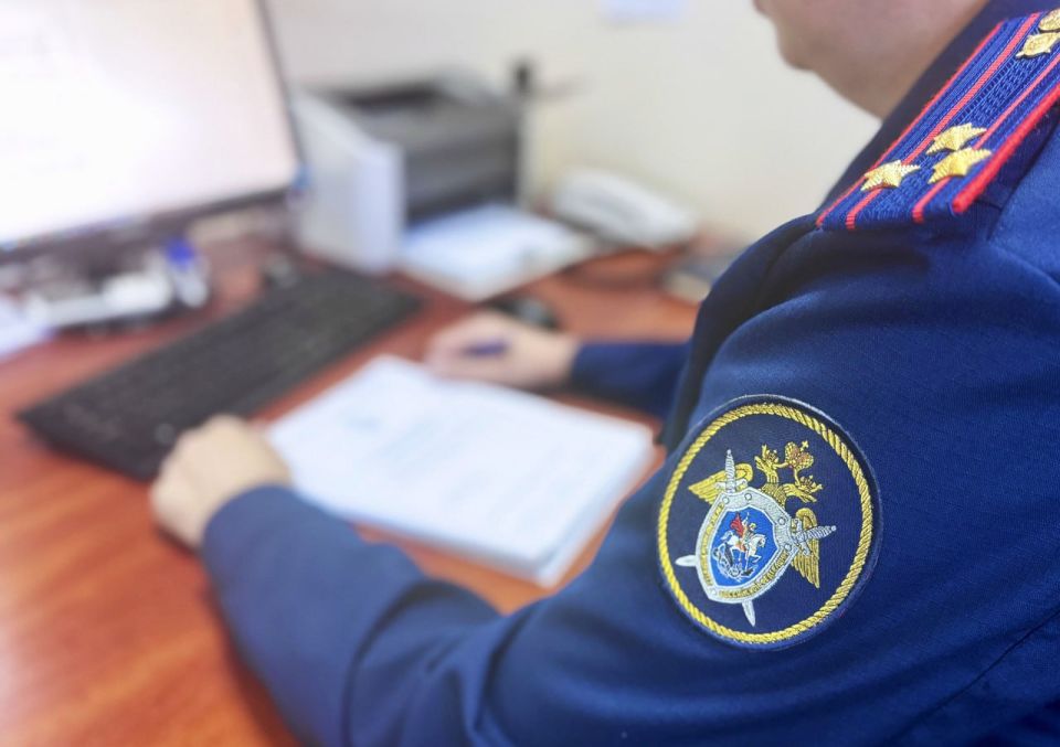 Перед судом предстанет тренер по художественной гимнастике из Петушков по обвинению в незаконном сборе средств с родителей своих воспитанниц