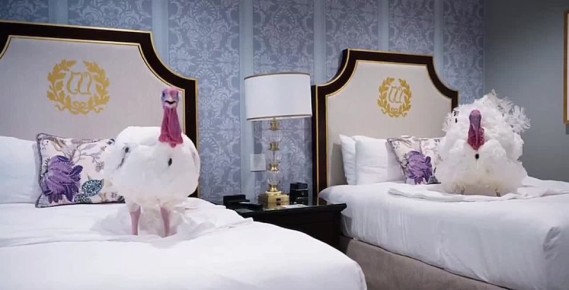 Трамп помилует двух индеек