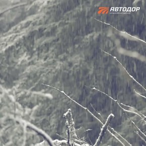 Внимание, автомобилисты!. Завтра на трассах М-12 «Восток» во Владимирской и Нижегородской областях, М-11 «Нева» в Московской и Тверской областях, а также М-1 «Беларусь» в Смоленской области и ЦКАД ожидается ухудшение...