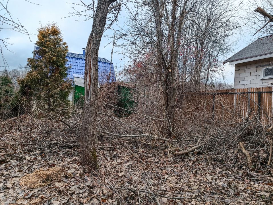 Как защитить яблони от зимних угроз