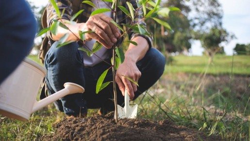 Это популярное удобрение многие дачники хранят неправильно: к весне теряет всю пользу