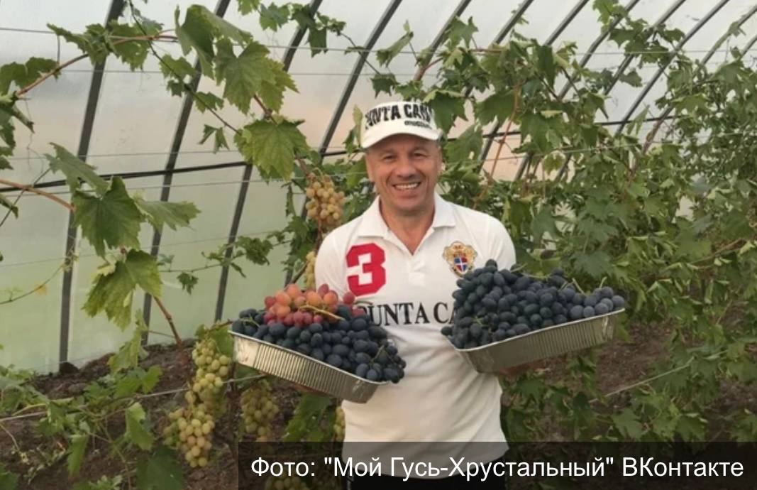 Гусевской фермер вышел в финал национальной премии «МедиаПоле»