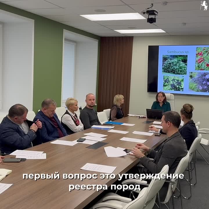 Второе заседание Зеленого совета Владимира: подводим итоги и строим планы на будущее!