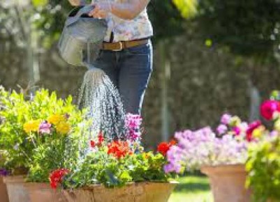 Тайны успешного садоводства