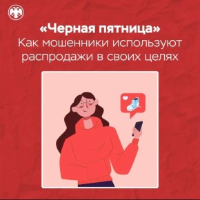 В «черную пятницу» владимирцев предупредили об уловках кибермошенников
