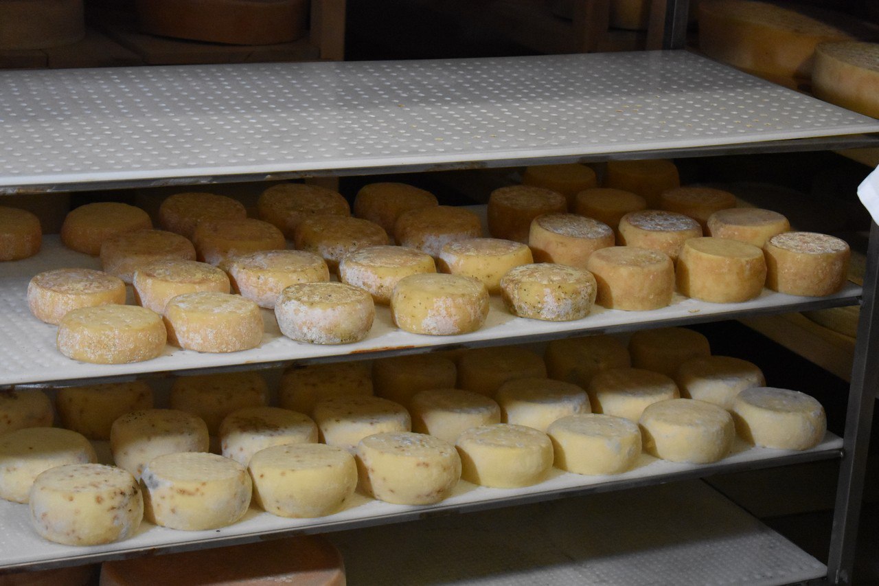 #БолеемЗаНаших: фермер из Гусь-Хрустального - в финале премии «МедиаПоле» #БолеемЗаНаших: фермер из Гусь-Хрустального - в финале премии «МедиаПоле»