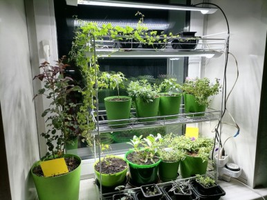 Эффективные стеллажи для рассады: как выбрать идеальное решение