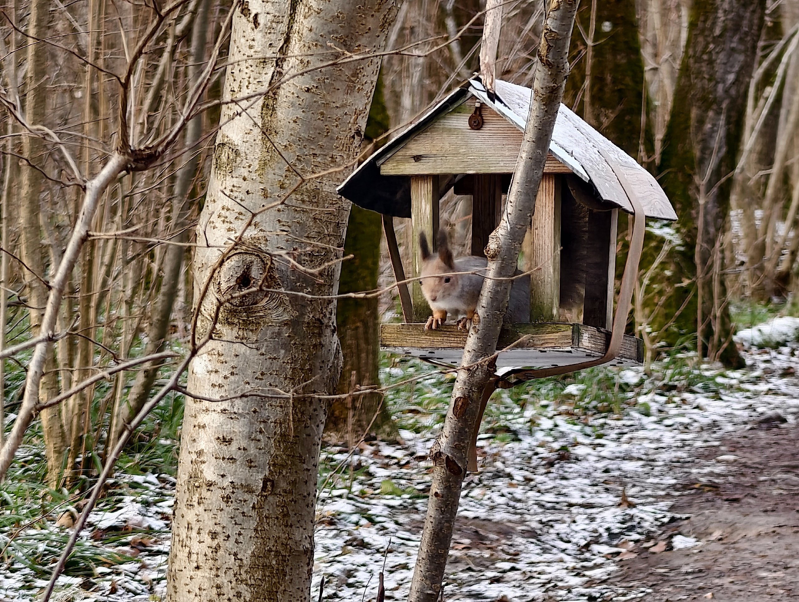 Доброе утро. А вот и долгожданные выходные, последние осенние в этом году Доброе утро. А вот и долгожданные выходные, последние осенние в этом году