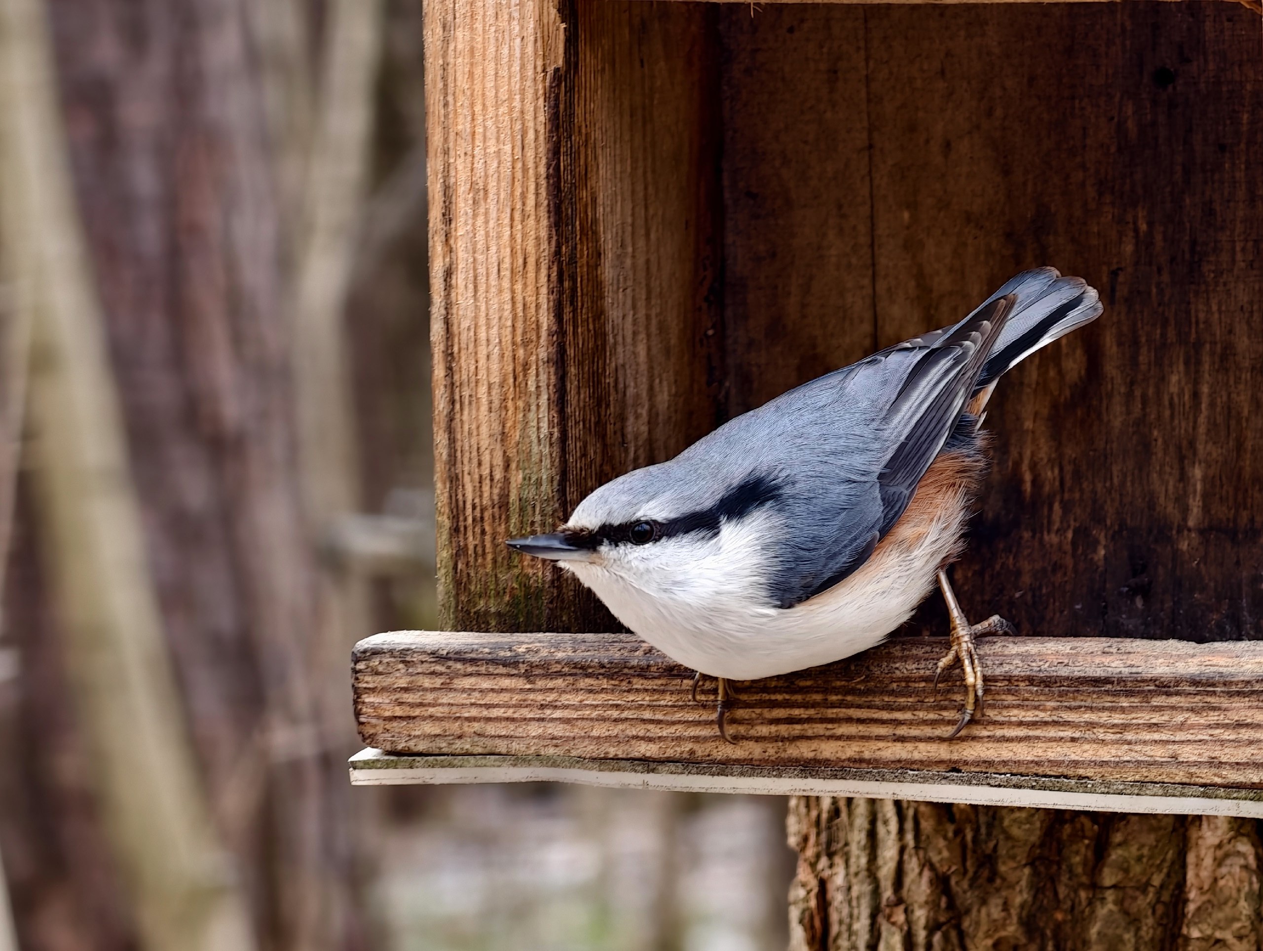 Доброе утро. А вот и долгожданные выходные, последние осенние в этом году Доброе утро. А вот и долгожданные выходные, последние осенние в этом году