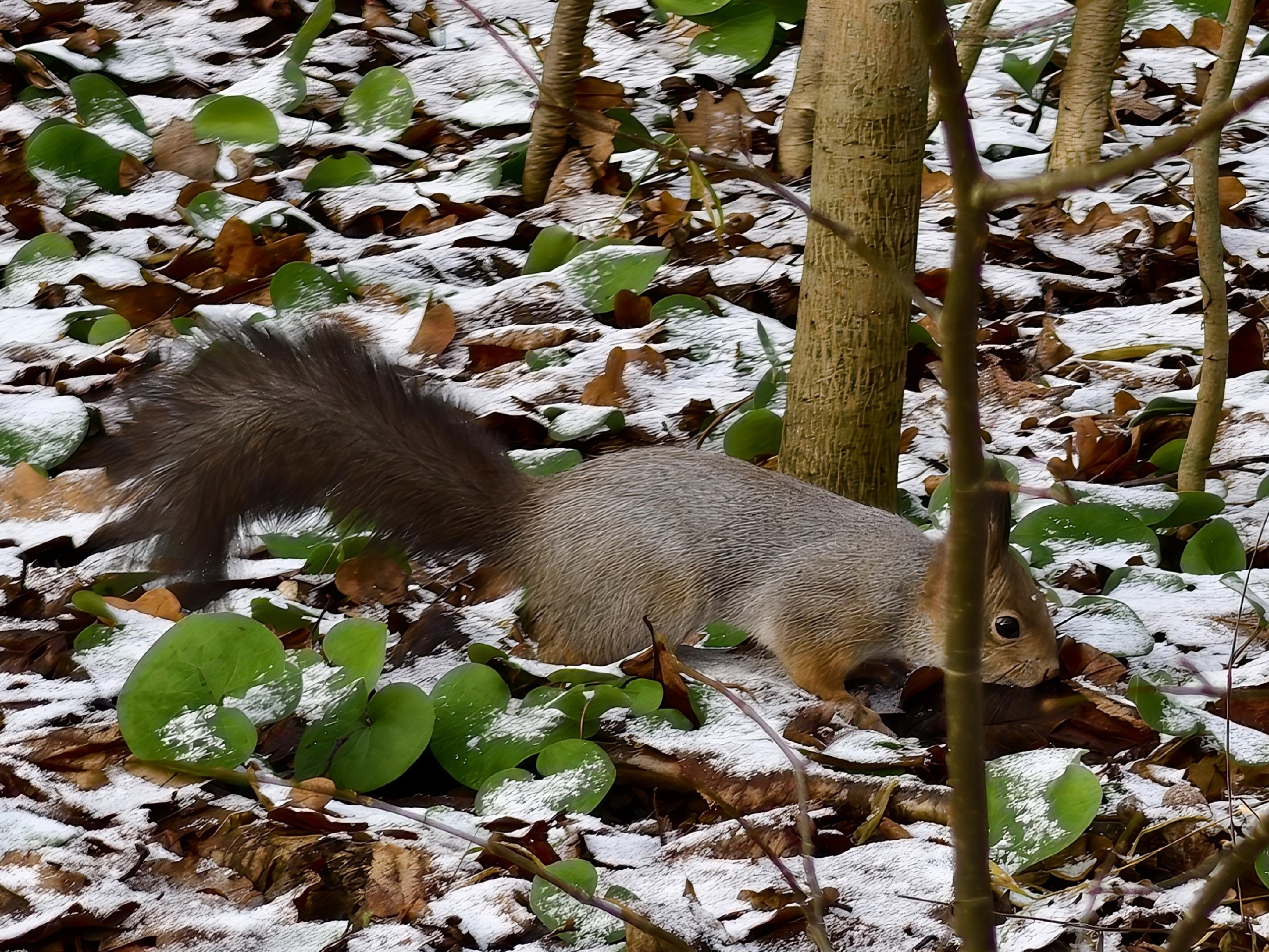 Доброе утро. А вот и долгожданные выходные, последние осенние в этом году Доброе утро. А вот и долгожданные выходные, последние осенние в этом году