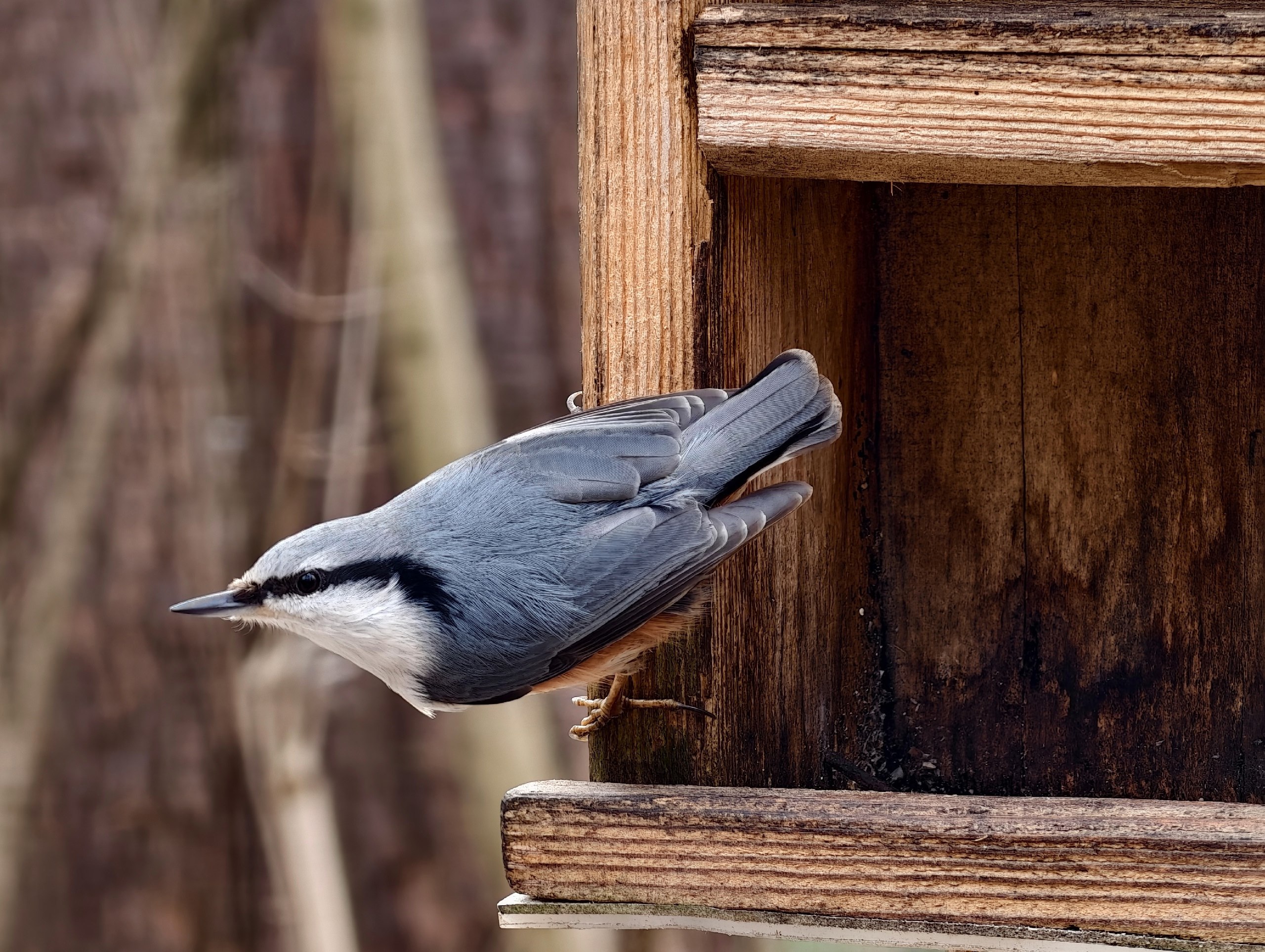 Доброе утро. А вот и долгожданные выходные, последние осенние в этом году Доброе утро. А вот и долгожданные выходные, последние осенние в этом году
