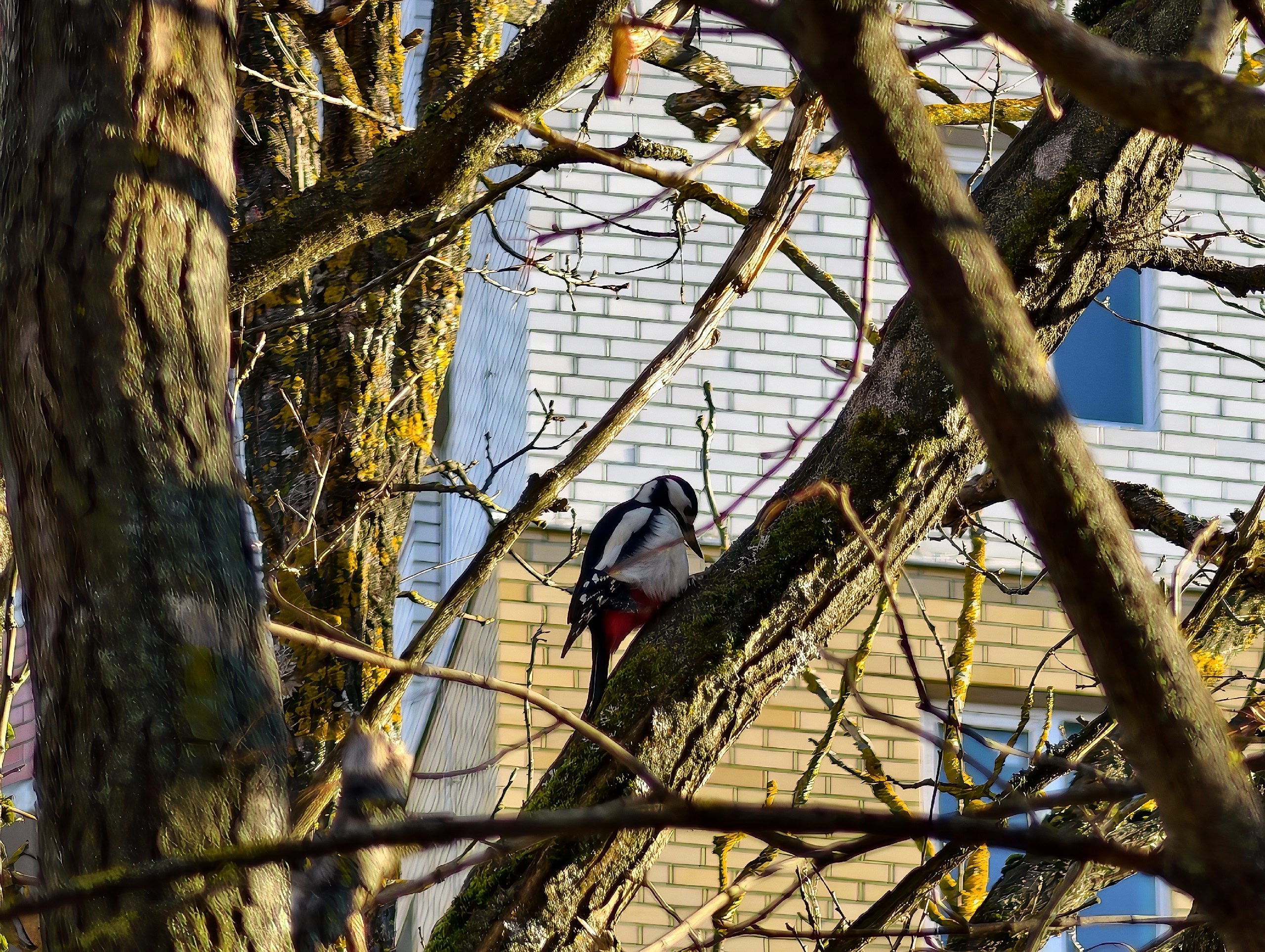 Доброе утро. А вот и долгожданные выходные, последние осенние в этом году Доброе утро. А вот и долгожданные выходные, последние осенние в этом году