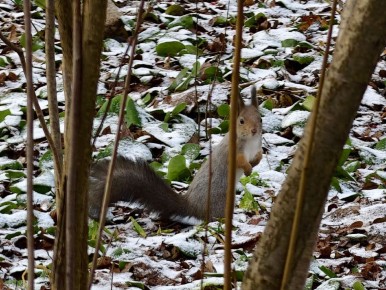 Доброе утро. А вот и долгожданные выходные, последние осенние в этом году