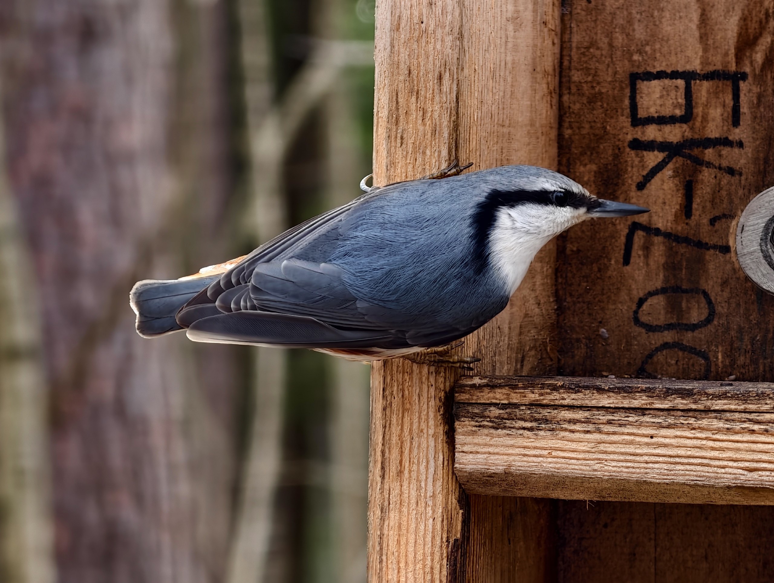 Доброе утро. А вот и долгожданные выходные, последние осенние в этом году Доброе утро. А вот и долгожданные выходные, последние осенние в этом году
