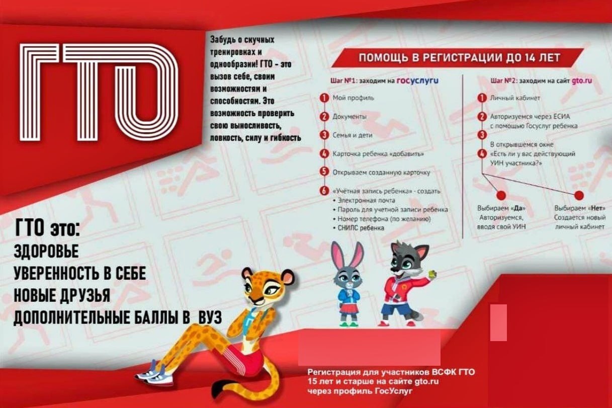 Вы знали, что почти 66 тысяч жителей Владимирской области уже получили свои заветные знаки отличия ГТО?