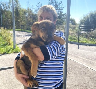 В День домашних животных знакомимся с любимчиками наших организаторов выборов