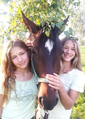 Питомцы в семьях организаторов выборов живут разные, яркие и с характером