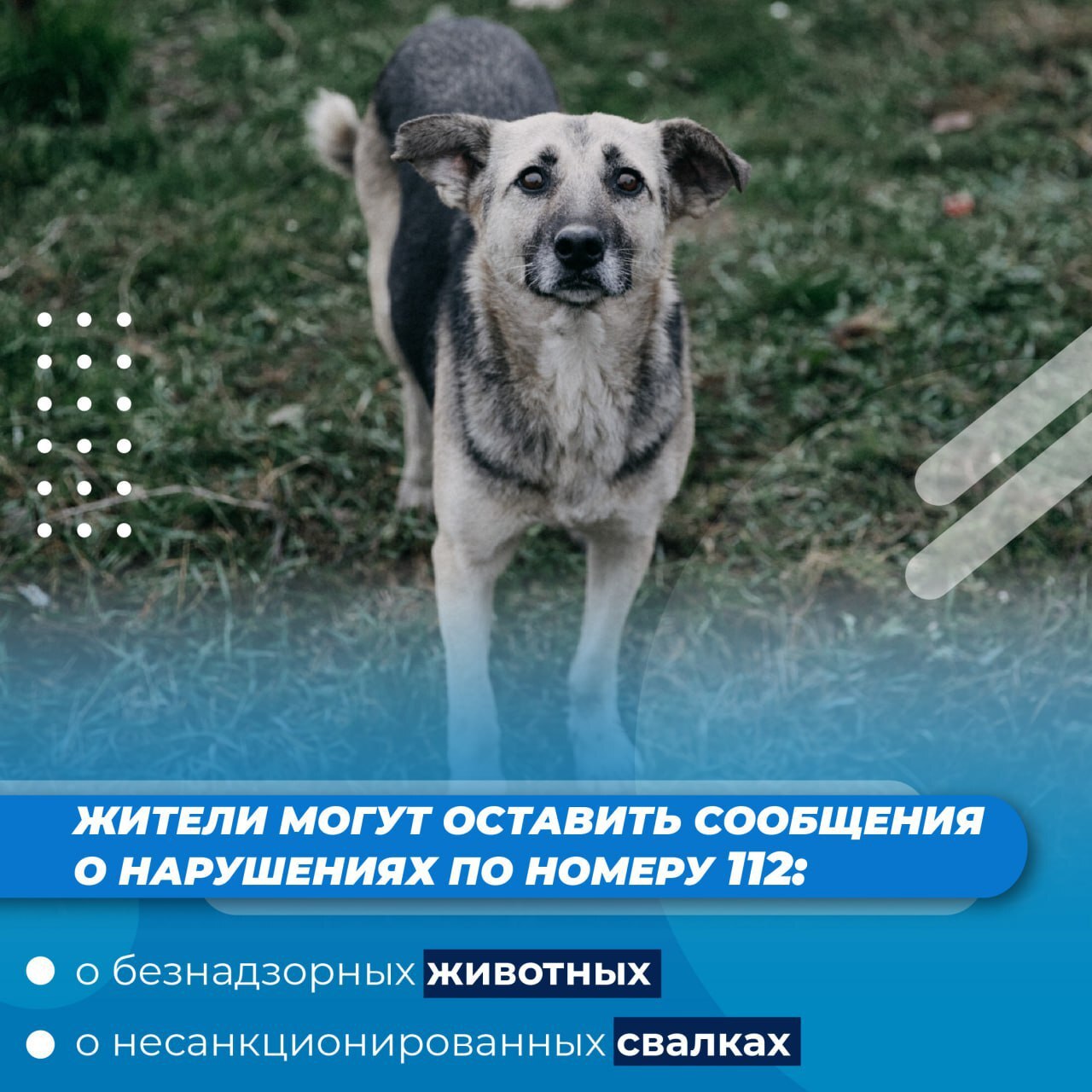 Александр Авдеев ответил на вопросы жителей в прямом эфире Александр Авдеев ответил на вопросы жителей в прямом эфире