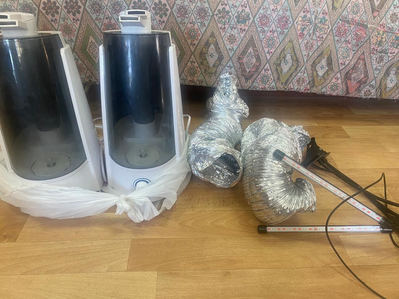 ™™™™™™™™. ™Во Владимире прокурор отправил на скамью подсудимых местного жителя, пытавшегося вылечить депрессию приёмом псилоцебиновых грибов Заместитель прокурора г. Владимира утвердил обвинительное заключение по уголовному... ™™™™™™™™. ™Во Владимире прокурор отправил на скамью подсудимых местного жителя, пытавшегося вылечить депрессию приёмом псилоцебиновых грибов Заместитель прокурора г. Владимира утвердил обвинительное заключение по уголовному...