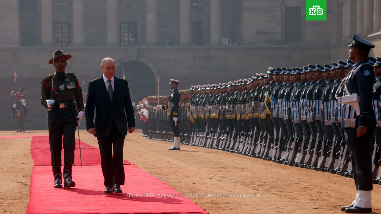 Красная ковровая дорожка, российские флаги и почетный караул: кадры официальной церемонии встречи Владимира Путина в Нью-Дели Красная ковровая дорожка, российские флаги и почетный караул: кадры официальной церемонии встречи Владимира Путина в Нью-Дели