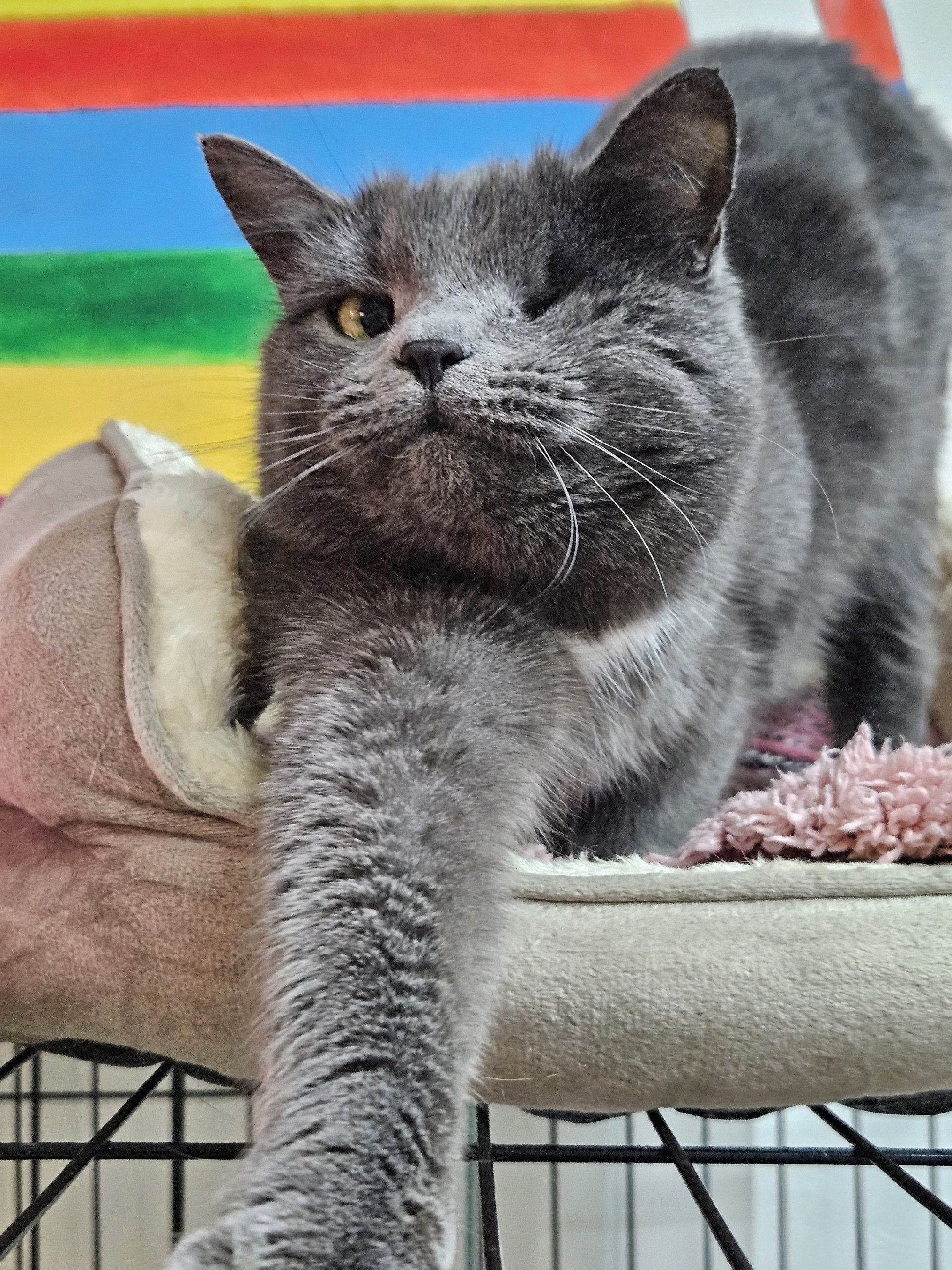 Доброе воскресное, друзья! А знаете, какой сегодня день? Доброе воскресное, друзья! А знаете, какой сегодня день?