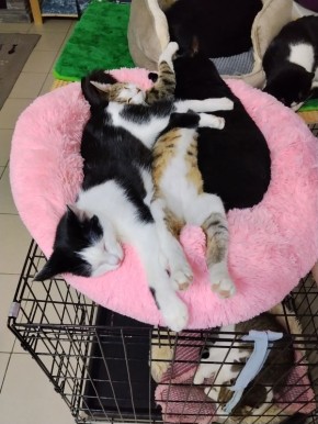 Доброе воскресное, друзья! А знаете, какой сегодня день?